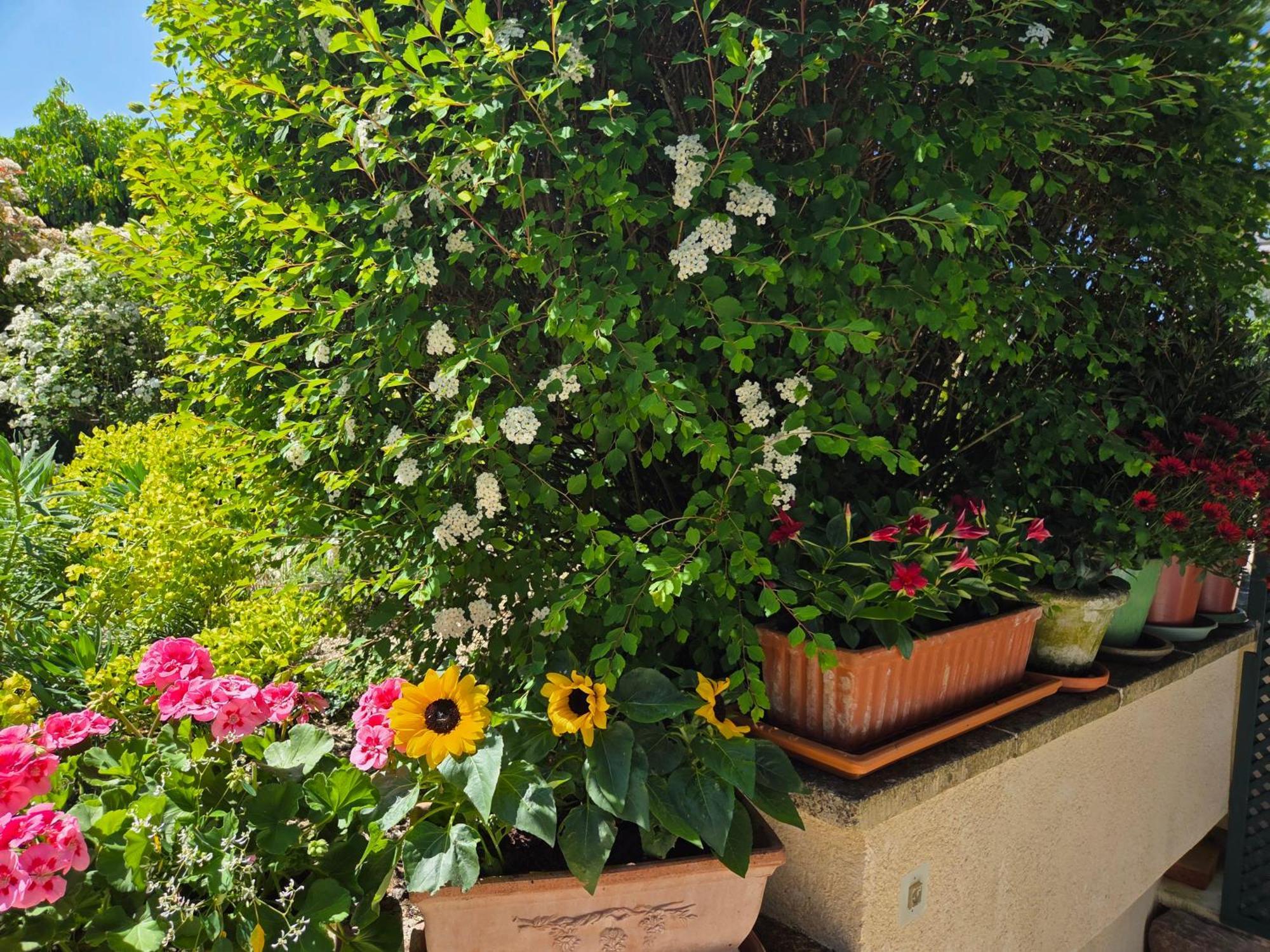 Clair Logis Villa Giverny Buitenkant foto